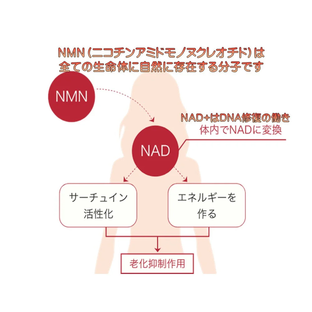 スリムバランサー(10箱 300本) - 画像 (2)