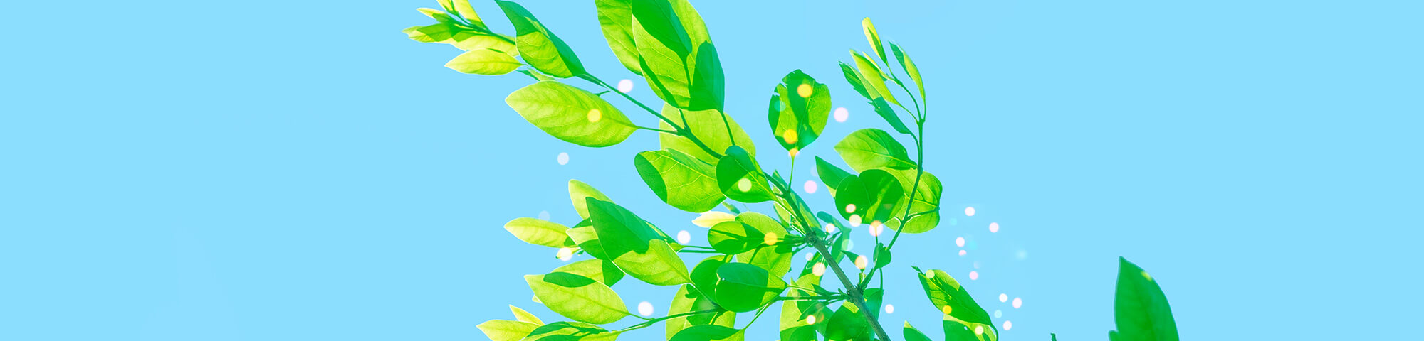 最近チェックした商品