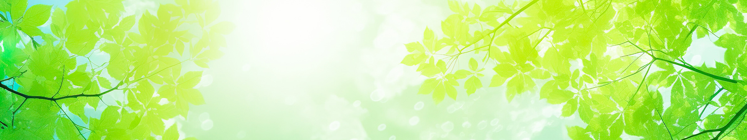 株式会社Global Medical Network