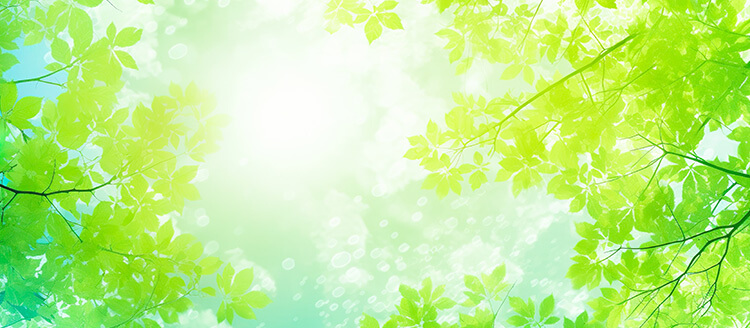 株式会社Global Medical Network